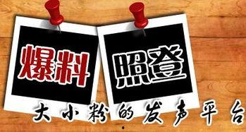 仁德最新爆料新闻,揭秘行业黑幕,真相令人震惊!